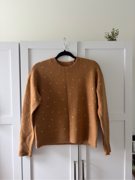 RW&CO. Sweaters - RW&CO. Camel Crewneck Sweater with Sparkle Dot Accents